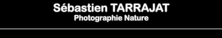 S�bastien TARRAJAT - Photographie Nature